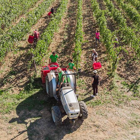 Il Querciolo - Azienda Biologica, Agriturismo E Cantina Marciano della Chiana Εξωτερικό φωτογραφία