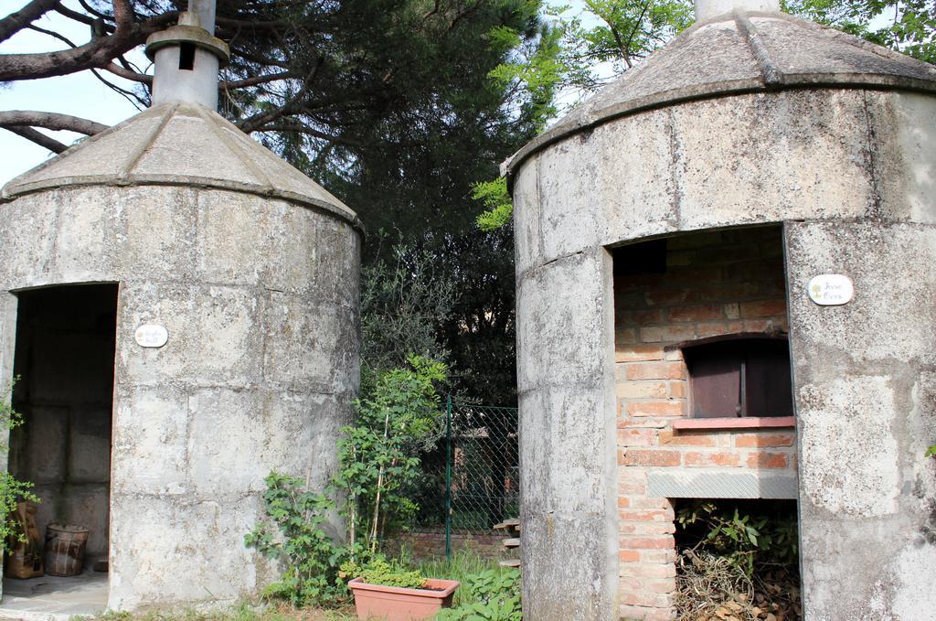 Il Querciolo - Azienda Biologica, Agriturismo E Cantina Marciano della Chiana Εξωτερικό φωτογραφία