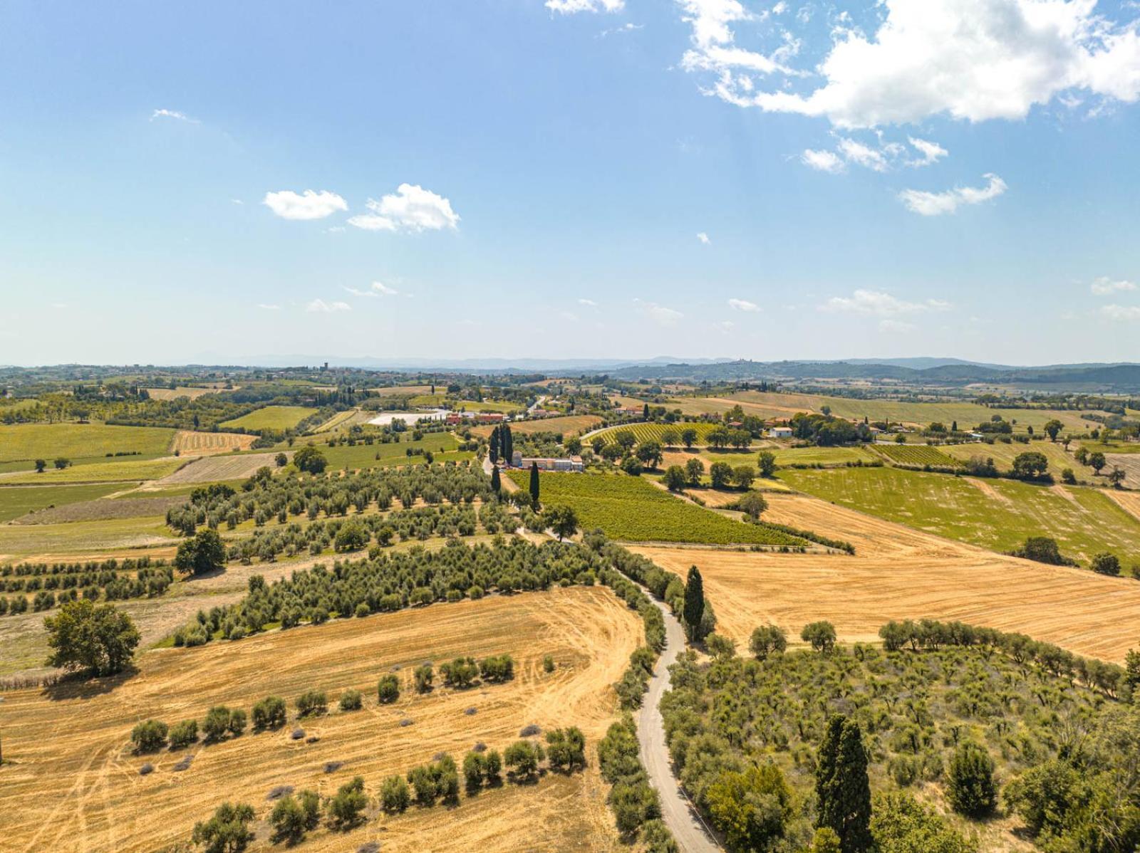 Il Querciolo - Azienda Biologica, Agriturismo E Cantina Marciano della Chiana Εξωτερικό φωτογραφία