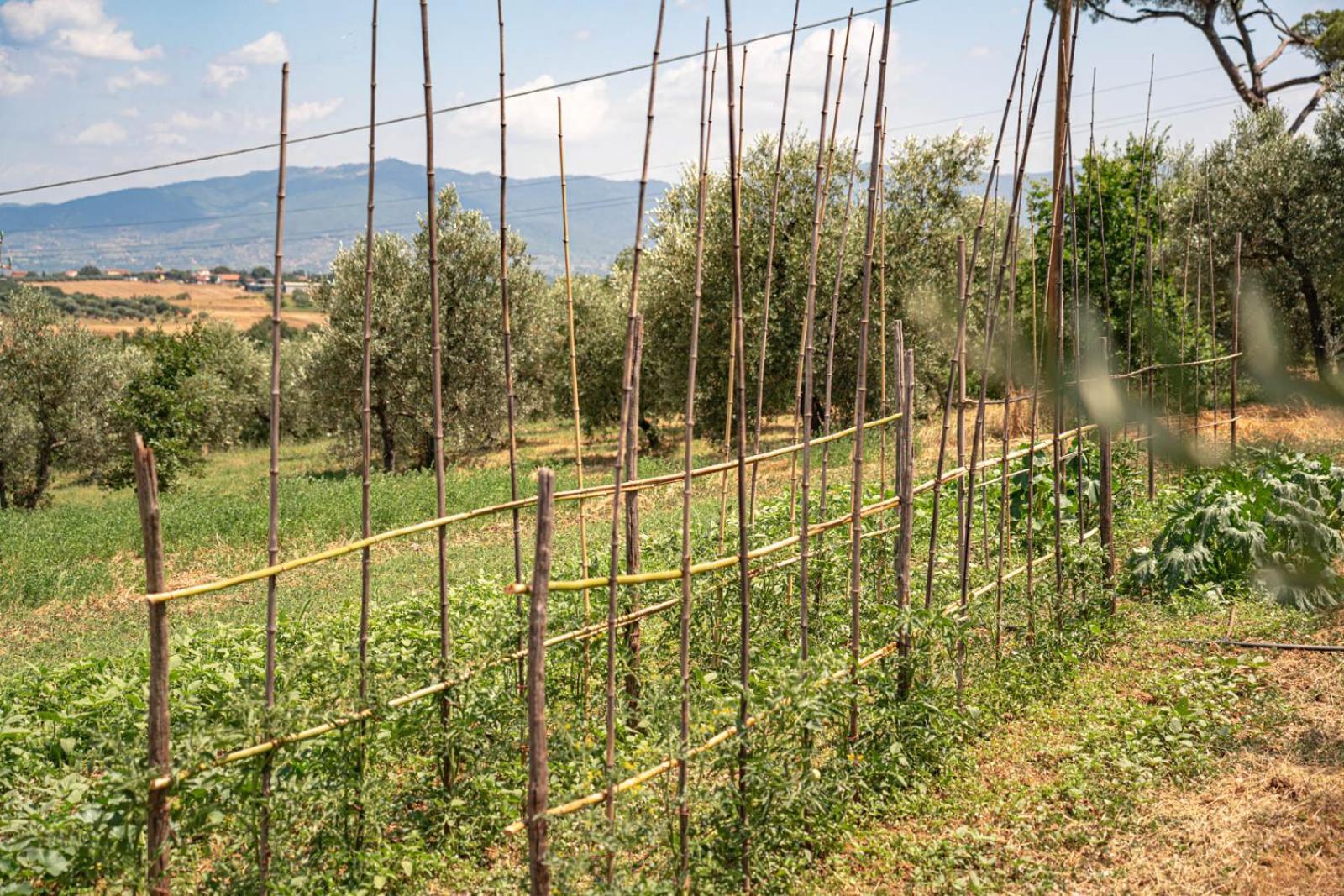 Il Querciolo - Azienda Biologica, Agriturismo E Cantina Marciano della Chiana Εξωτερικό φωτογραφία